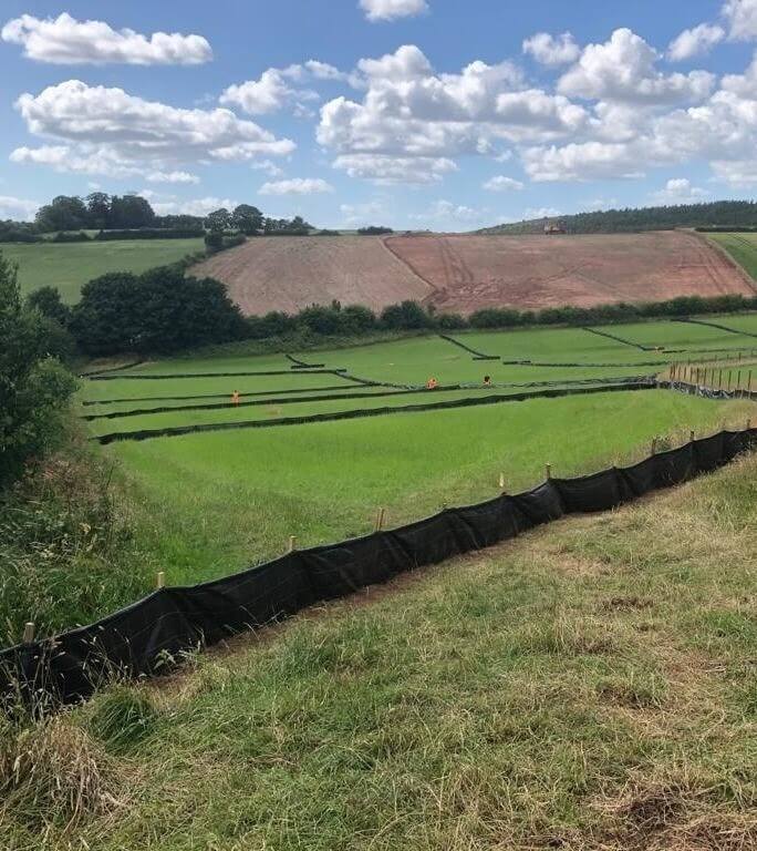 Great crested newt fencing